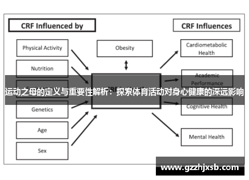运动之母的定义与重要性解析：探索体育活动对身心健康的深远影响